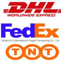 Entrega económica de DHL UPS TNT Express de China a Bolivia